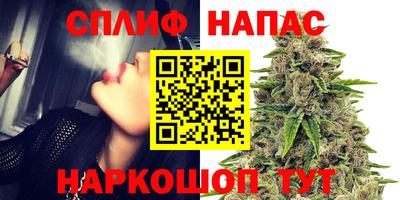 дмт Ставрополь