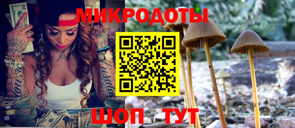 Светлоград  Псилоцибиновые грибы прущие грибы  Вход с VPN  Галлюциногенные грибы Cubensis 